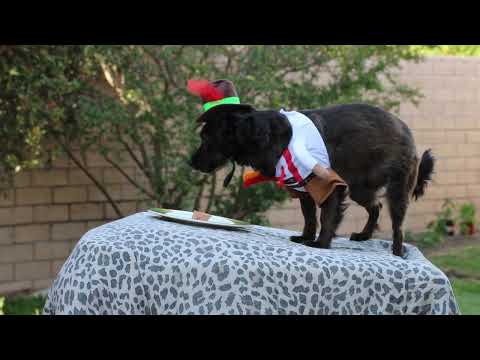 download lagu mp3 mp4 German Sausage And Cheese Platter, download lagu German Sausage And Cheese Platter gratis, unduh video klip German Sausage And Cheese Platter