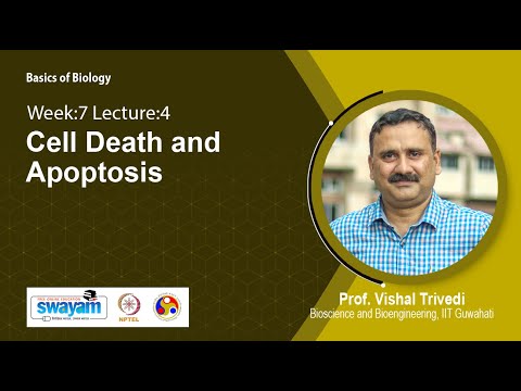 Basics of Biology Intro Video