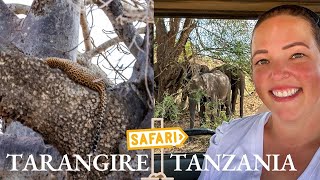 Tarangire Park Tanzania Safari - Budget & Solo Traveler Friendly #tanzania #tanzaniawildlife