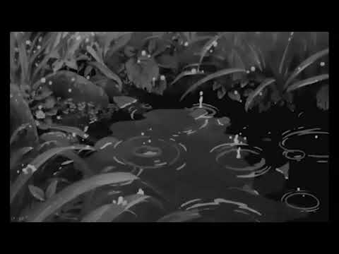 baechulgi - north shore [LoFi]