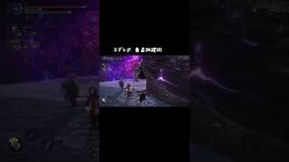 エデレ戦でまれによくある #eldenringnightreign