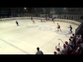 07.02.2015 Беларусь - Франция. Metal Euro Ice Hockey Challenge ...