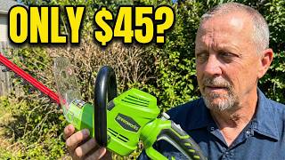 Is the Cheapest Hedge Trimmer on Amazon Actually Good?