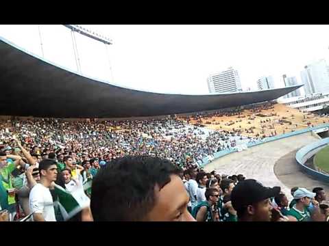 BDV fazendo festa(final do goianão 2016)