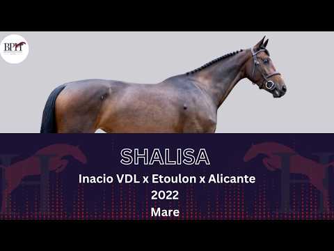 Shalisa