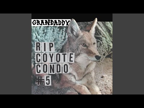 Video thumbnail for R.I.P. Coyote Condo #5