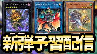【tier4のカーニバル】新弾予習配信【遊戯王MD】