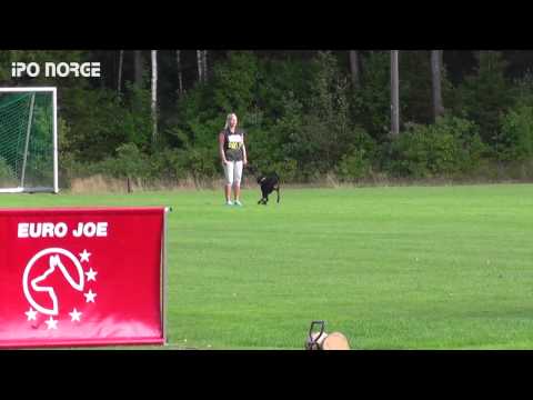 FCI NM IPO 2014 Kathinka Lunde - Shivas Diva von SchutzArt - B