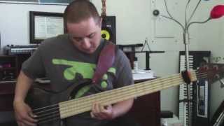 Video thumbnail for La Bella White Nylon Bass Strings Demo by Nick Montou