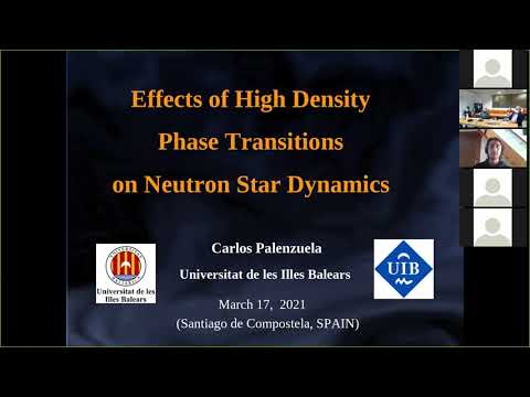 Effects of high density phase transitions on neutron star dynamics (Carlos Palenzuela)