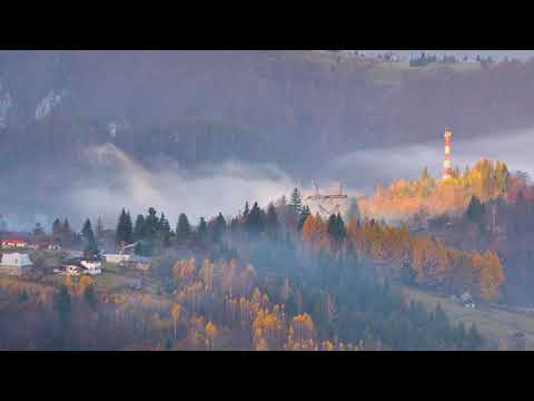 Podu Dambovitei in autumn by Noni