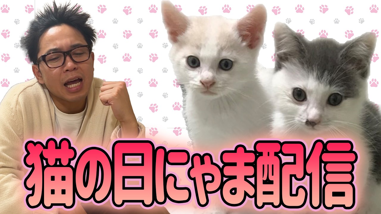 サンシャイン池崎猫の日チャリティーにゃま配信！