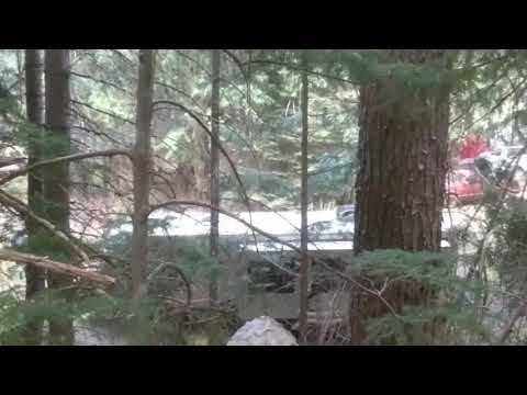 Drone vs hornets nest.