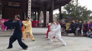 02/04/17 Guo Jie Tai Chi: Chen 56 & Yang 48 (3:00 pm)