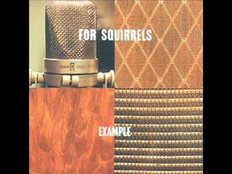 For Squirrels-Disenchanted