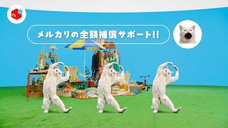 『メルカリなら、もしもの時も全額補償サポートでしっかりサポート』ねこダンス篇