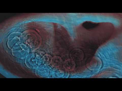 Vanja Orlandic Echoes cover