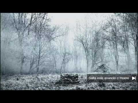 EL ARO 3 | Morirás en 7 días