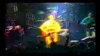 Paul Weller - Pity Poor Alfie