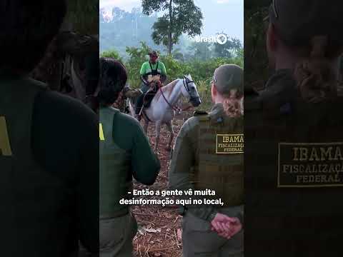 Caminhos da Reportagem discute desafios e sensação de impunidade na terra indígena