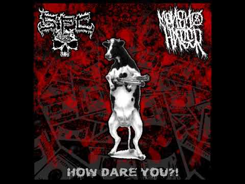 SxFxCx (poison breath) / Money Hater (ignorant)  split (1X1 preview)