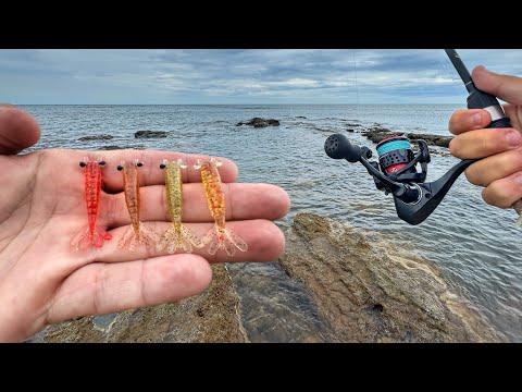 USE THIS BAIT AND CATCH A LOT OF FISH ON THE BEACH!!! Artificial micro shrimp.