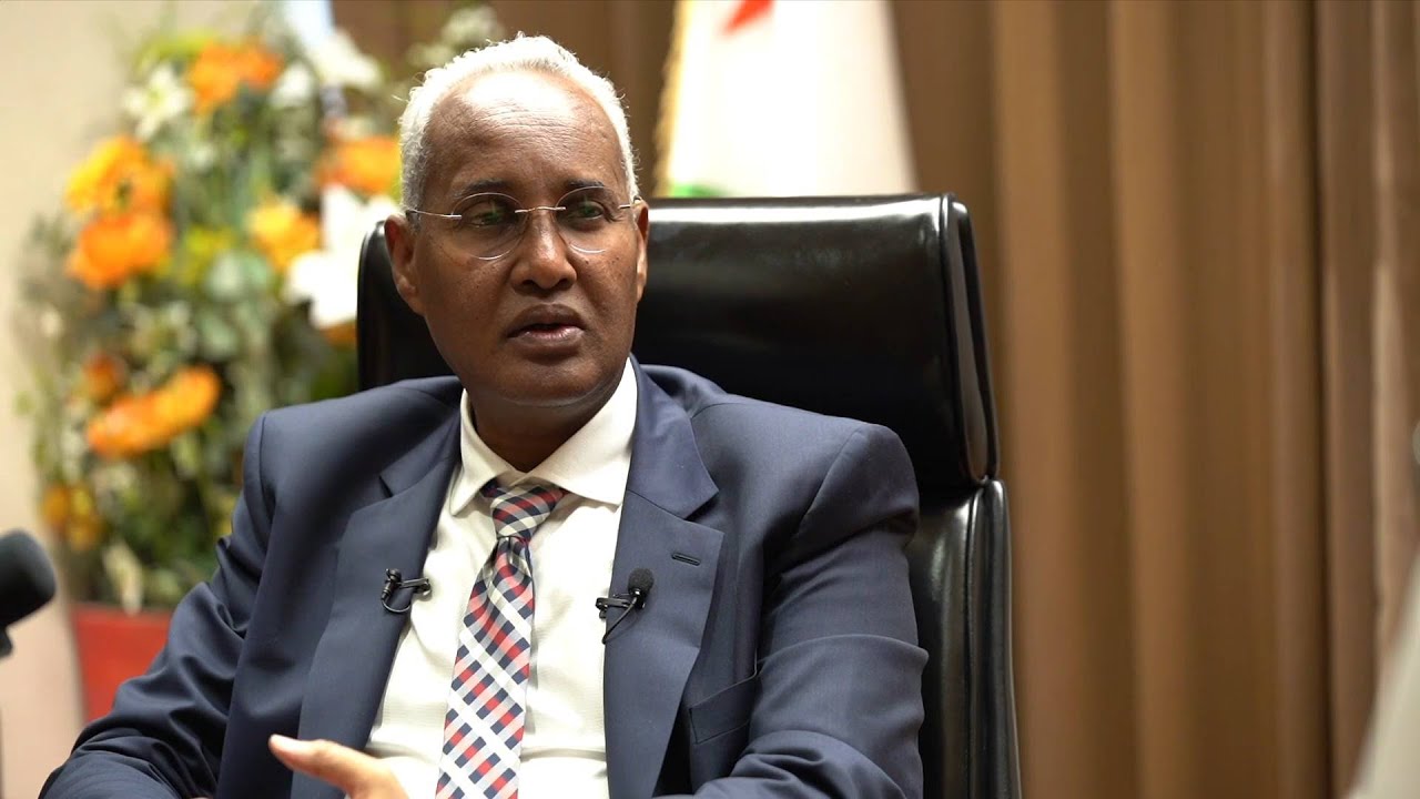 Djibouti benefits from China-Africa infrastructure cooperation