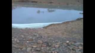 preview picture of video 'OUED INFESTE - الثلوث الناتج عن المياه العادمة الناتجة عن المنطقة الصناعية لسيدي بوعثمان بالرحامنة'