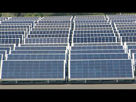 Dan Riskin on the cost of inaction on climate change