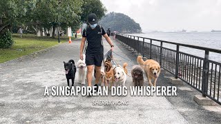 A Singaporean Dog Whisperer | Moment Invitational Film Festival 2021 (Mini Documentary)
