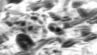 The Bat Prt. II (Cover)