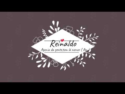 Agonia Da Gente - Reinaldo
