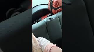 Download lagu CEWEK KENTUT DI DALEM MOBIL PAJERO KEBELET EEK mp3