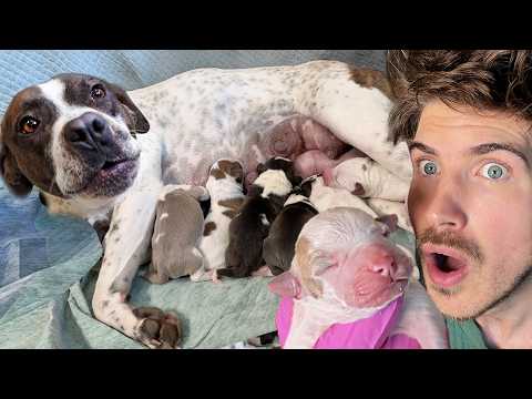 YouTube Thumbnail
