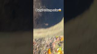 Download lagu Dengar baik2 bunyi tedung selar dalam lubang mp3