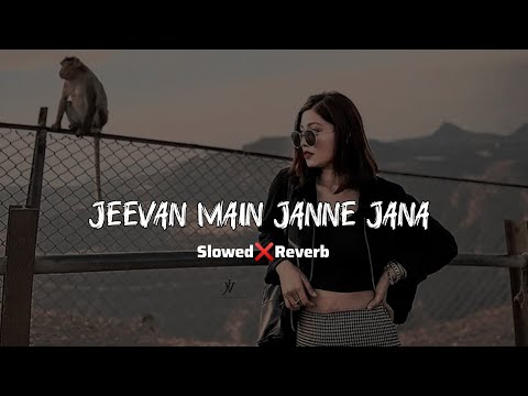 Jeevan Mein Jaane Jaana | Slowed & Reverb | Bichhoo (2000) |Bobby Deol, Rani Mukherjee #lofi #90s