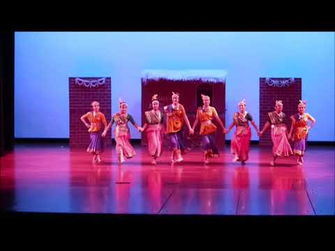 Chhattisgarh folk dance performance
