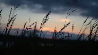 Reminiscence - JOHANNES BORNLÖF [ NCSSound Release ]