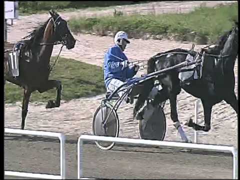 Trotto 29/03/2015 - 5° corsa