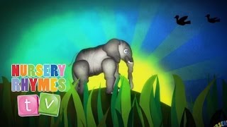 ELEPHANTS HAVE WRINKLES | Nursery Rhymes TV. Toddler Kindergarten Preschool Baby Songs.