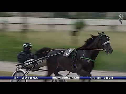 Aversa trotto 13 Maggio 2023 - 5° Corsa