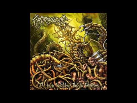 Gastrorrexis - The Dark World of Parasitic Infections (Full Album)