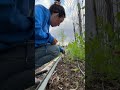 Plant Bush Beans On The OUTSIDE Of Your Raised Garden Bed Gardenhack Bushbeans