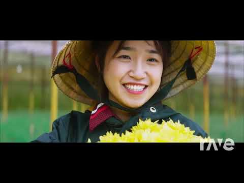 Đen x JustaTee - Đi Về Nhà REMIX (Version Majesty)| Nhạc EDM