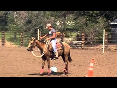 Festus   Colt Start Challenge