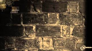 Darkseed - Follow Me