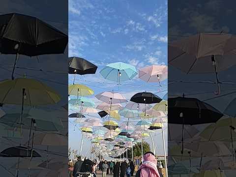 Flowers shows saudi  2025🌺🌺🌺#flowers ##colour #beautiful #