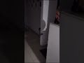 Ghost Child Paranormal Ghosts Ghost