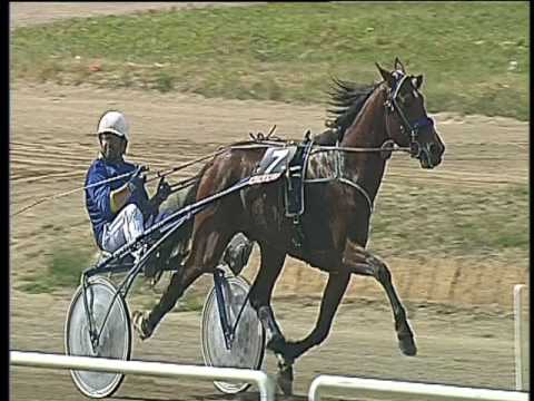 Trotto 17/04/2017 - 2ª corsa