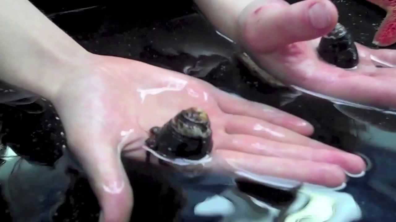 Seven Hills Middle School Teachers